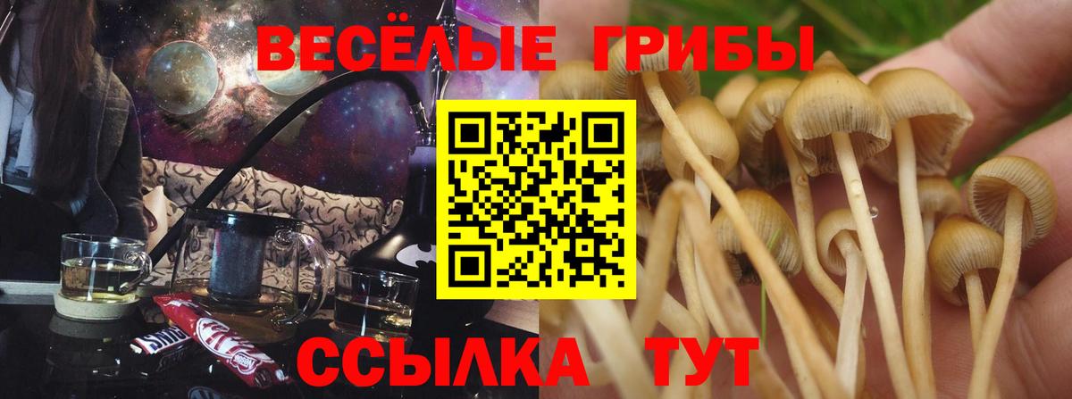 Псилоцибиновые грибы мухоморы  Галлюциногенные грибы Psilocybine cubensis  Вход с VPN  Надым 